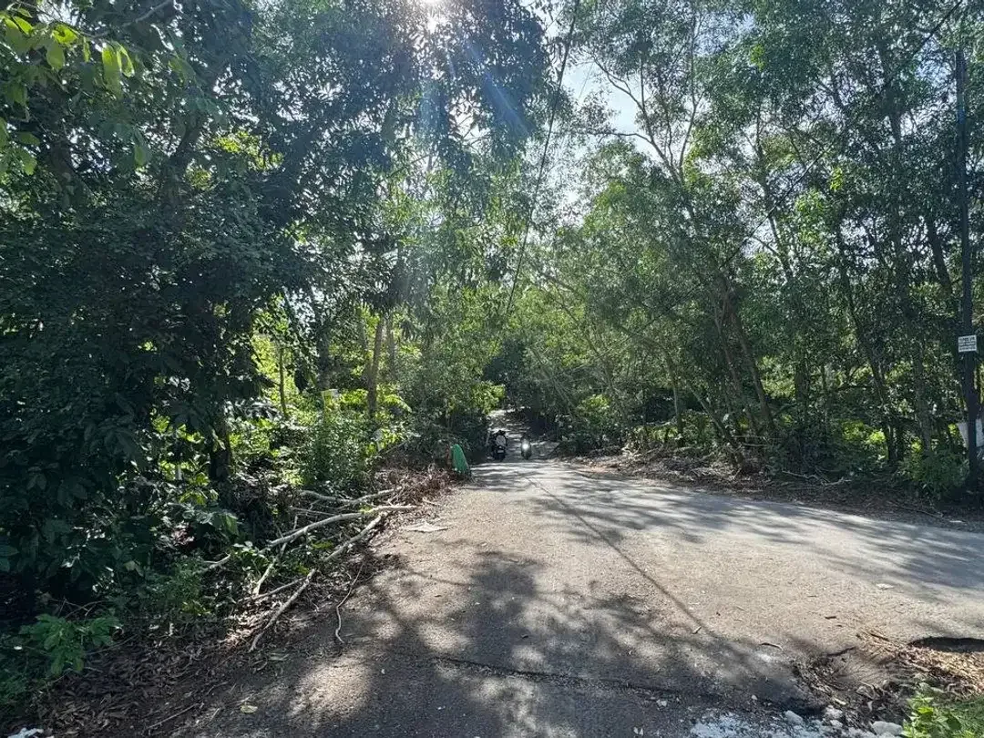Land for Sale with Ocean View in Cemongkak Bingin Bali - Image 7 of 8