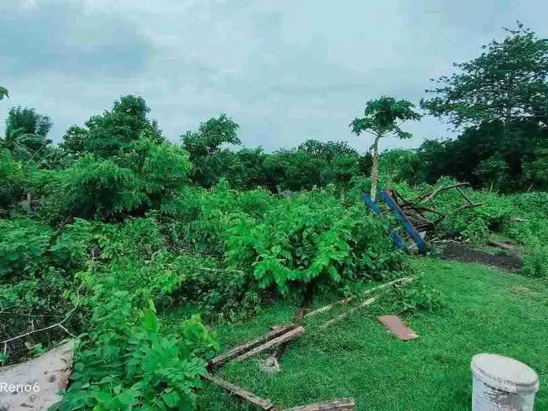 dijual tanah murah 6,19 are harga nett 325 juta per are dekat SMP negeri 5 Kutuh Kuta Selatan Badung Bali - Image 1 of 6