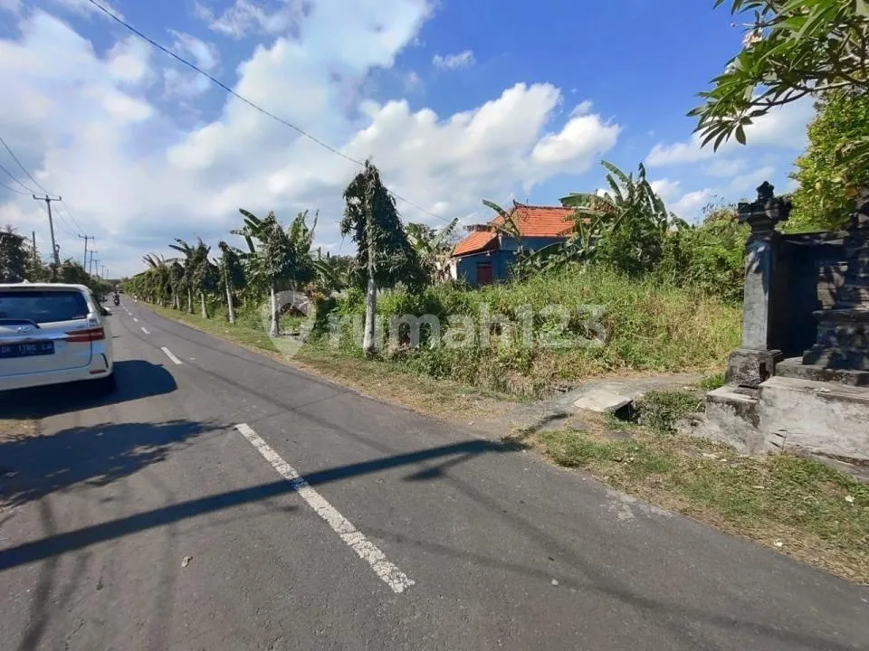 Dijual Tanah 44 Are Yeh Gangga Tabanan - Image 1 of 4