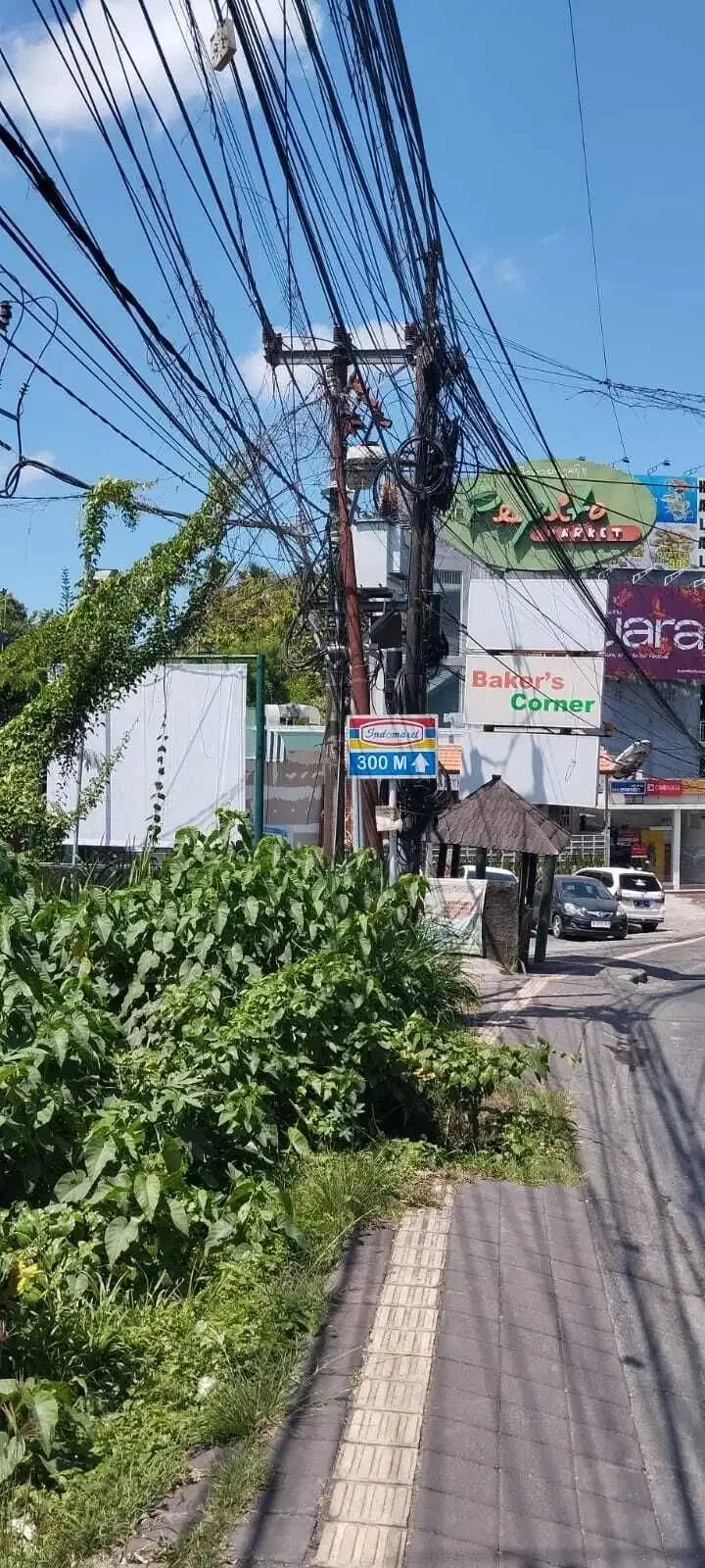 Tanah Komersil 550m2 di Jalan Raya Utama Canggu Bali Cocok Usaha - Image 7 of 10
