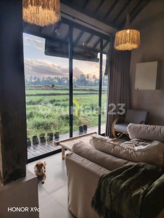 For Rent Villa Rice Field View Ubud 10 Menutes From Sentral Ubud Is In The Middle Of A Large Rice Field, Rice Field View Sayan 10 Menutes From Central Ubud Gianyar, Mongkey Forest Ubud Gianyar Bali - Image 1 of 4