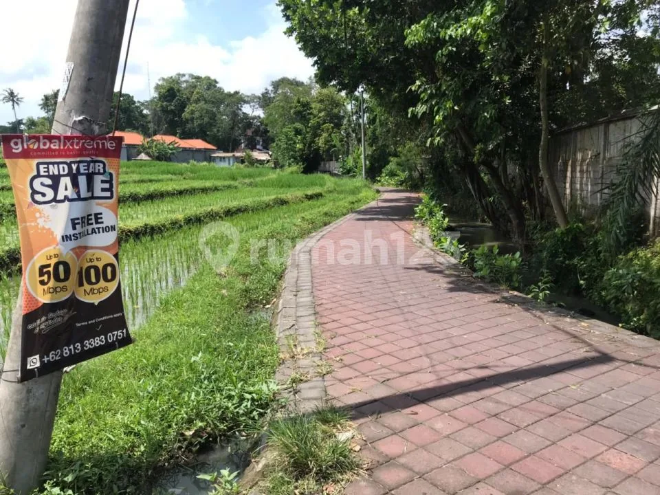 Tanah View Sawah di Umalas 2 Kerobokan Zona Kuning - Image 4 of 4