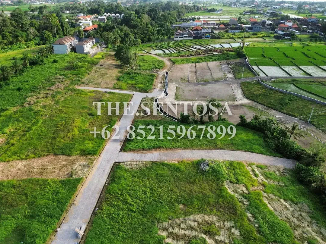 KEDUNGU dekat CANGGU PERERENAN - Image 9 of 9