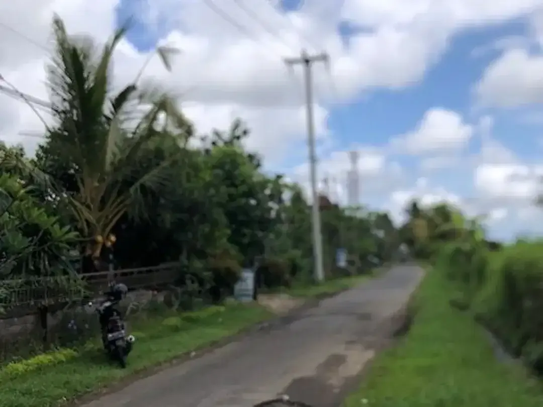 Tanah Murah Dekat Ubud View Sawah Luas 28,2 Are Cocok Villa di Pejeng, Gianyar - Image 4 of 10