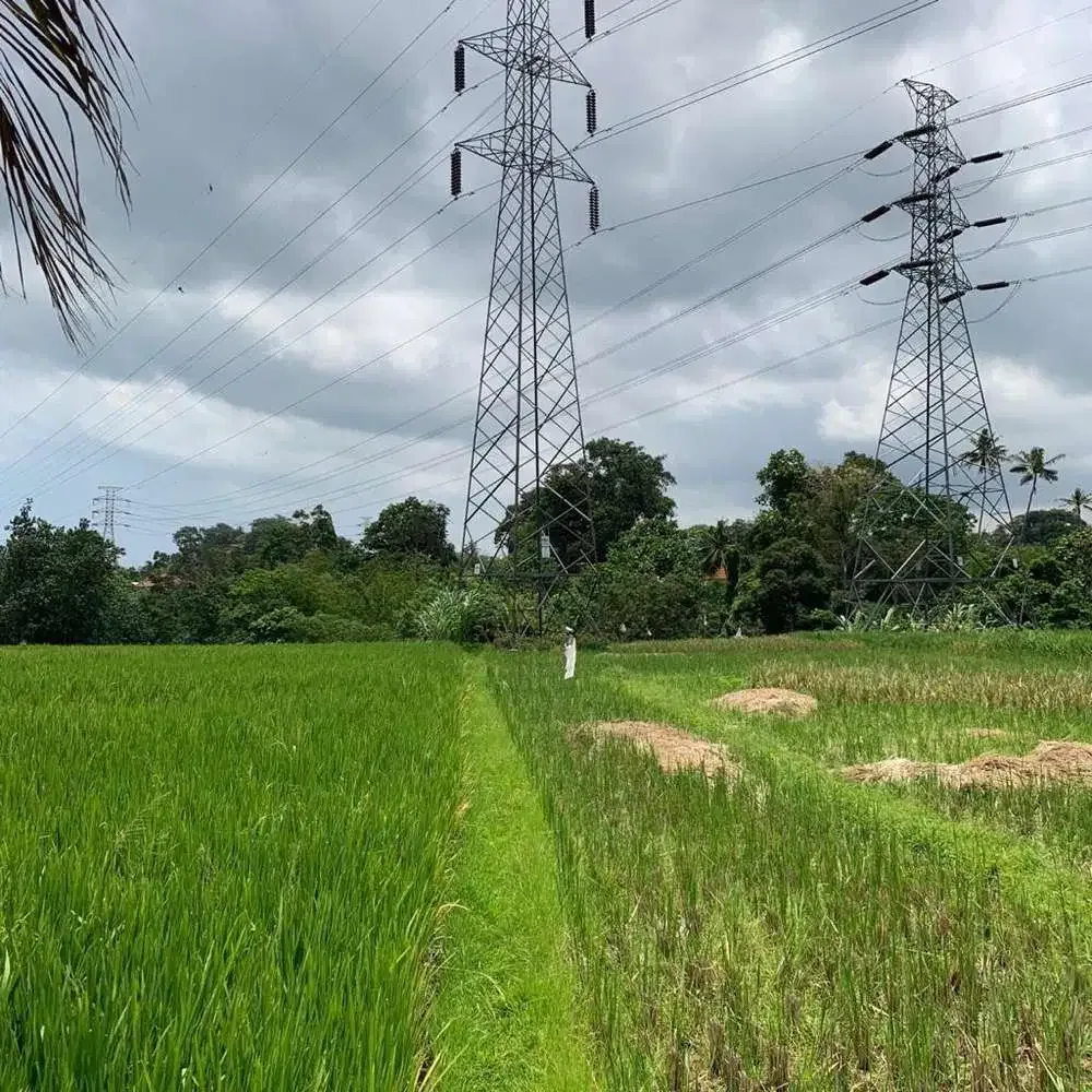 TANAH VIEW SAWAH DAN SUNGAI DI TABANAN - Image 1 of 10