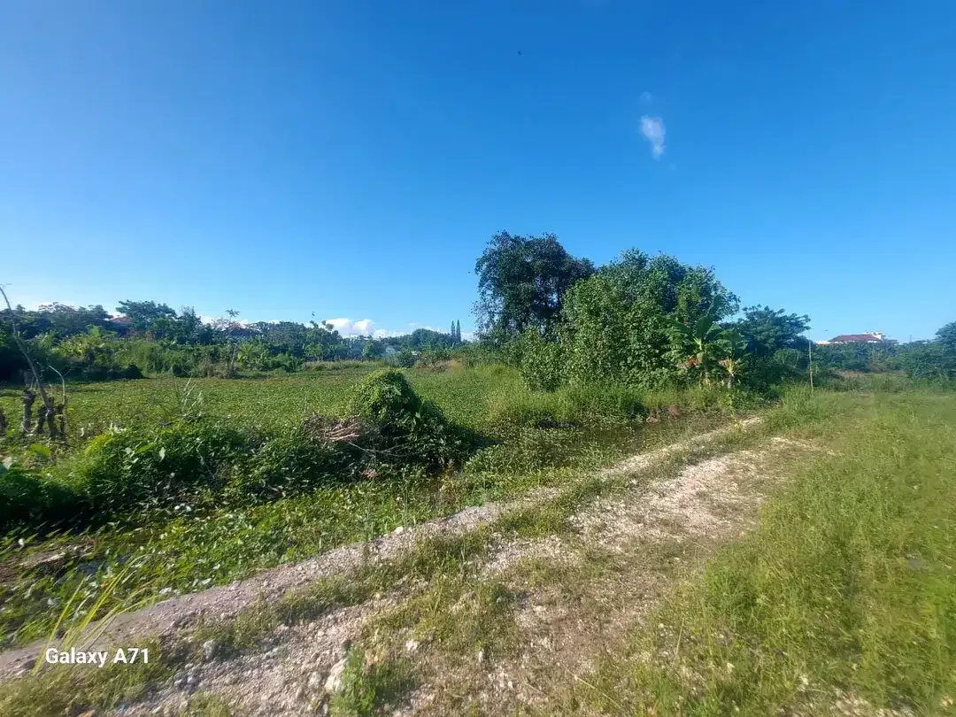 Dijual Tanah 5 Are di Area Padang Galak, Sanur. - Image 8 of 9