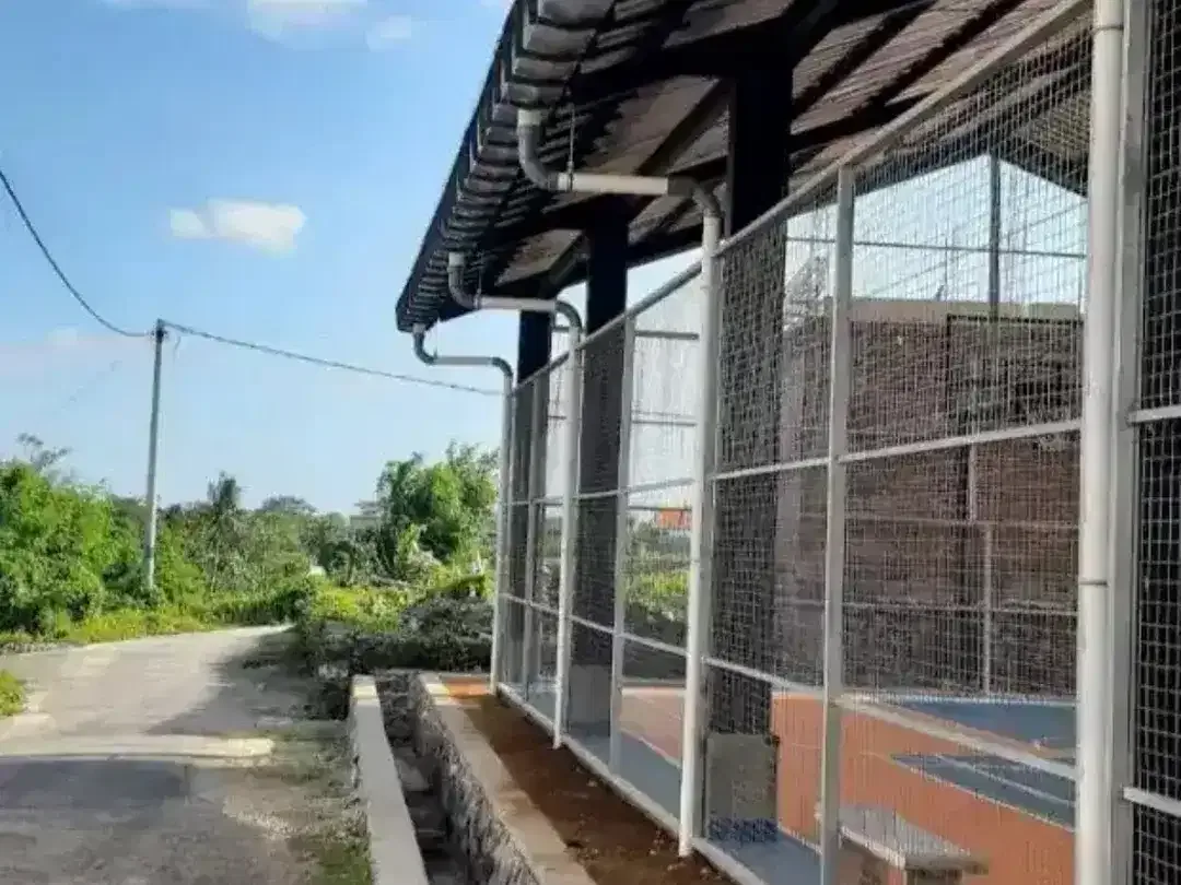 Tanah PREMIUM MURAH Jl Sempol Pererenan Canggu - Image 2 of 10