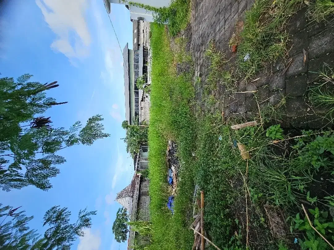 Disewakan Tanah di Areal strategis  canggu dan pererenan - Image 6 of 8