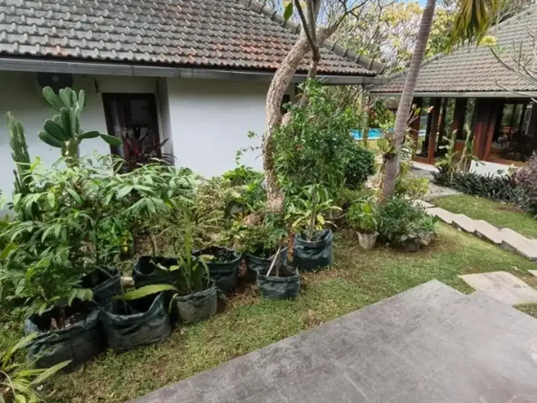 VILLA SPACIOUS GARDEN WITH 5 BEDROOM IN UMALAS KEROBOKAN BADUNG - Image 4 of 10