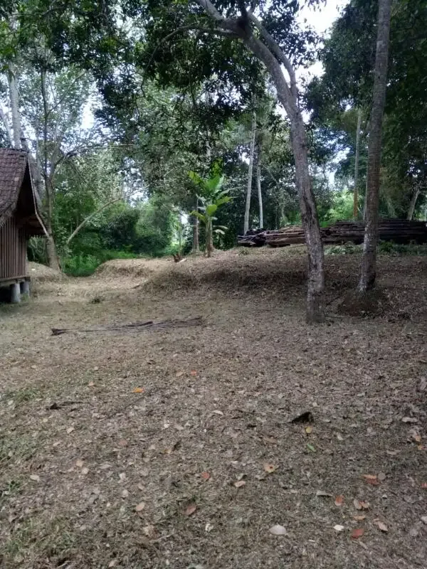 3500 land for sale in the edge or river in munggu bali - Image 7 of 7
