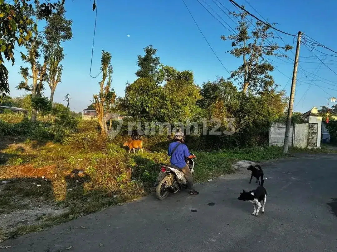 Sewa Lahan Kutuh Kuta Selatan Dekat Kampus Stp - Image 4 of 5