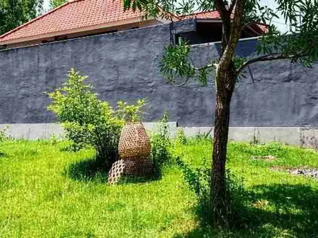 Dijual tanah lalu jln mundeh kutuh - Bali - Image 4 of 6