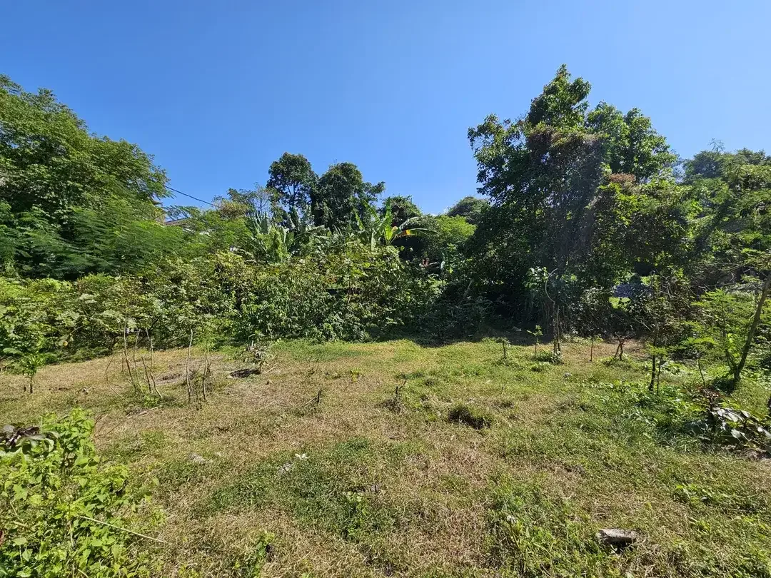 Prime Land Opportunity - Freehold Land in Strategic Kesiman Kertalangu - Image 5 of 9