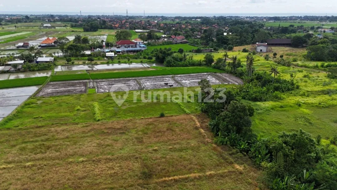 Dijual Tanah Los Sungai, View Sawah di Area Tanah Lot Tabanan - Image 4 of 4