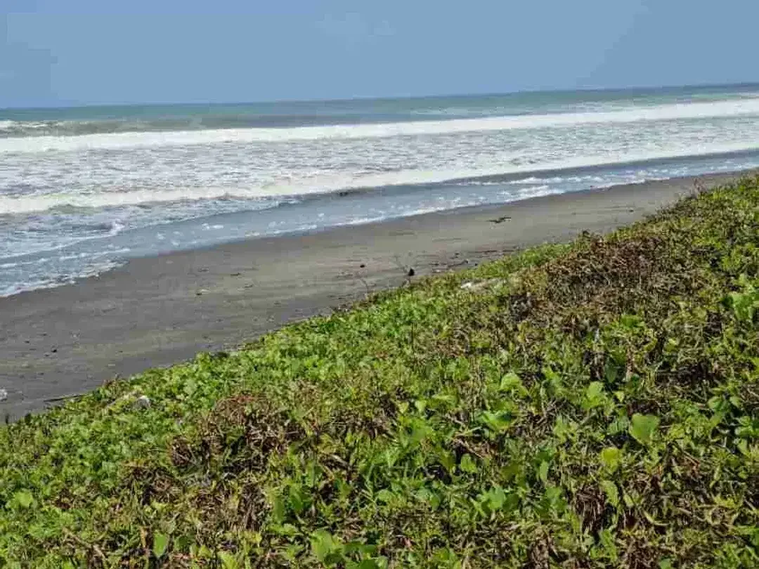 Beach Front Land di Pantai Yeh Gangga Tabanan Bali - Image 1 of 4