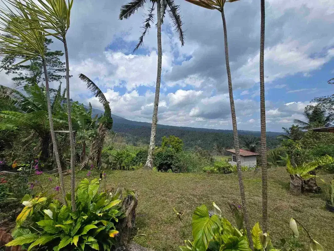 Dijual tanah bonus villa dengan view gunung sawah dan lembah di bali - Image 10 of 10