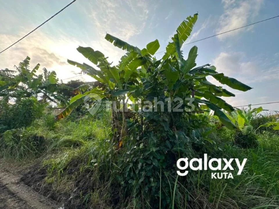 Dijual Tanah di Perumahan Dekat Rs Sanjiwani dan Tegenungan Waterfall Gianyar - Bali - Image 4 of 4