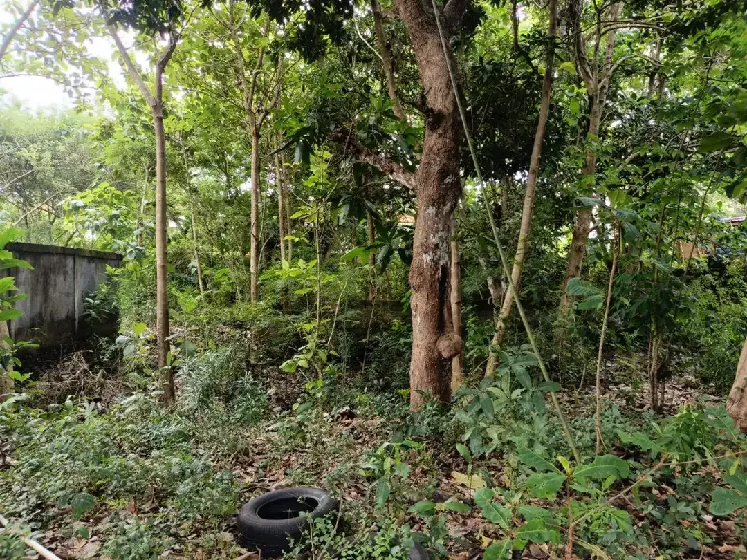 Dijual MURAH! Tanah 630m2 SHM Cocok Untuk Rumah Kos di Nusa Dua - Image 5 of 10