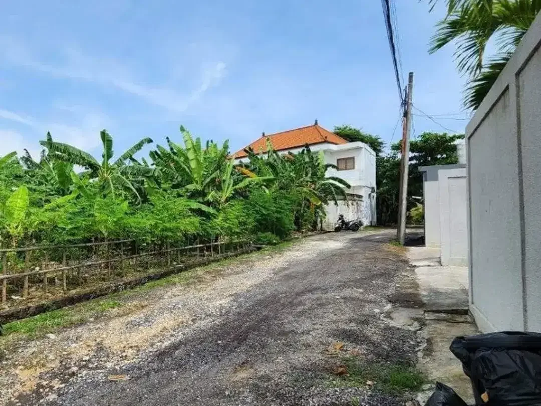 Tanah Padang Linjong Canggu Badung - Image 1 of 4