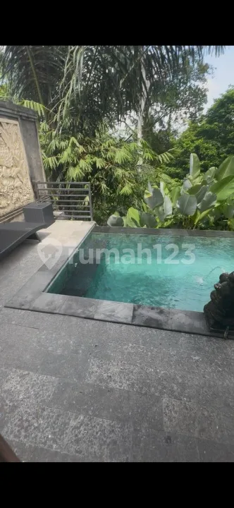 Villa Sewa View Hutan Sungai Siap Huni Harga Murah - Image 3 of 4