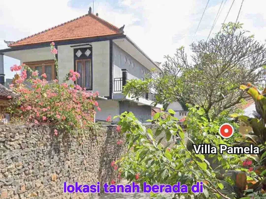 BUC, dijual TANAH 10 ARE cck utk villa dkt LOVINA DOLPIN Buleleng Bali - Image 9 of 10