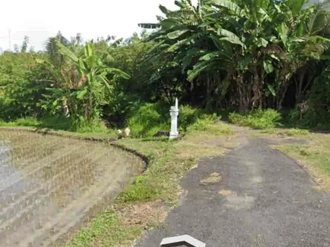 Dijual lahan loss pantai dan muara lokasi di Gianyar ketewel. - Image 3 of 4