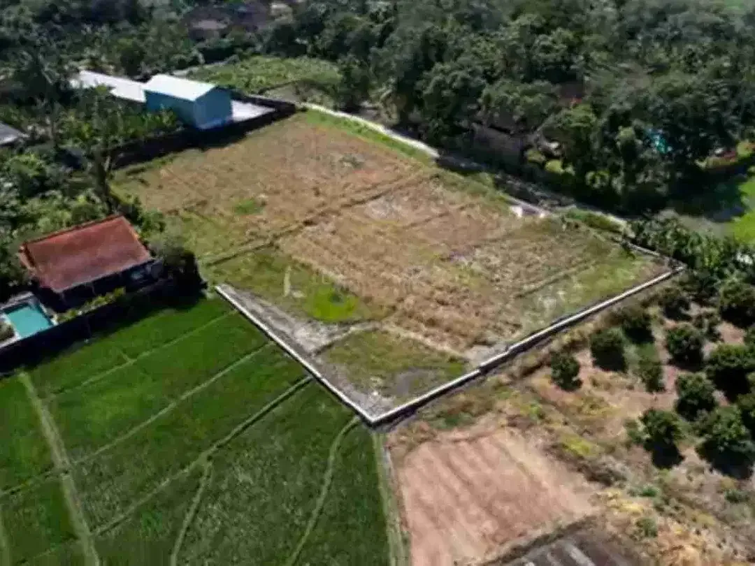 Di jual tanah murah di Tabanan dekat pantai pasut sangat cocok untuk komplex villa - Image 1 of 5