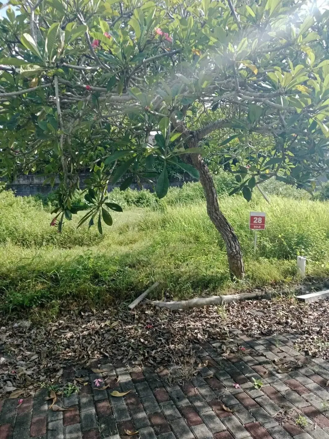 Dijual Tanah Kavling dijalan Utama Uluwatu Kawasan Prime Summerfield - Image 1 of 6