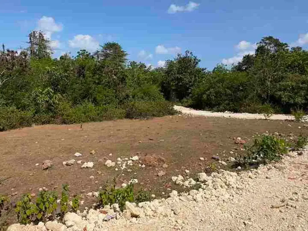 Dijual Tanah Murah 800m2 Posisi Hook Untuk Investasi - Image 2 of 8