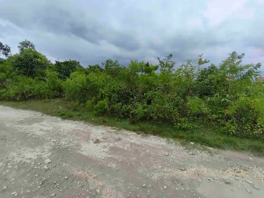 dijual tanah ocean view 1972m² IDR 700 juta /are kawasan purigading jimbaran - Image 8 of 10