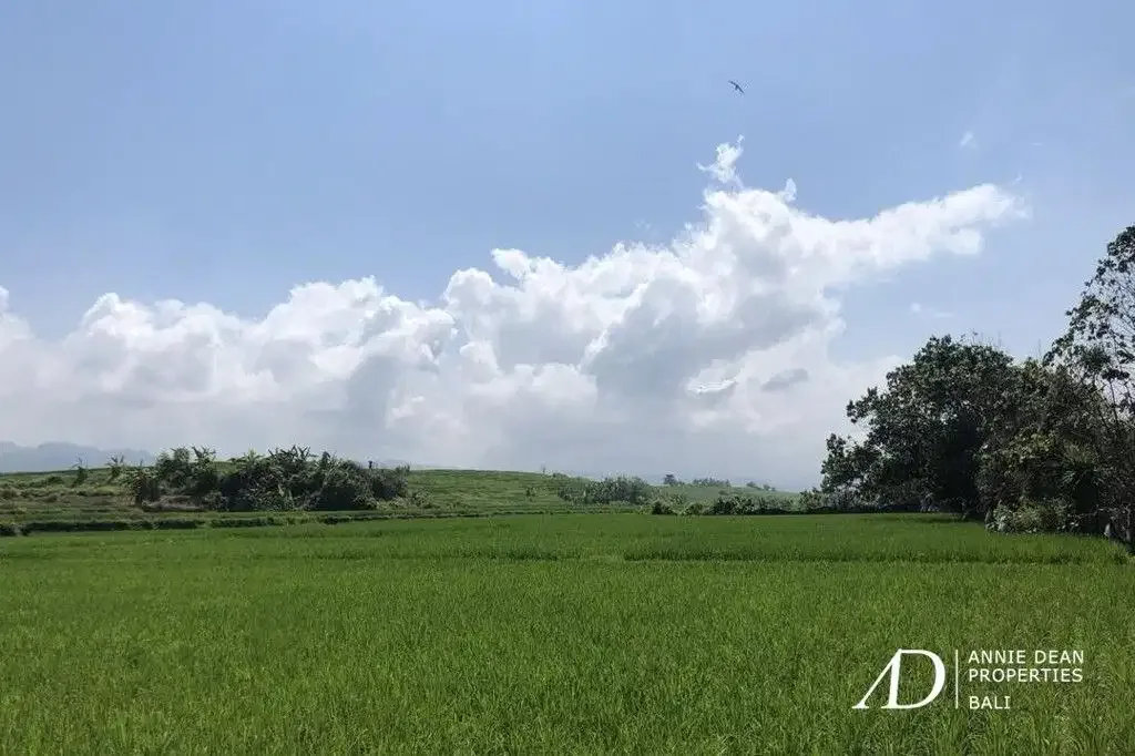 FREEHOLD BEACHFRONT LAND IN PEKUTATAN (3,000 M2) IN TOURISM ZONE - Image 6 of 10