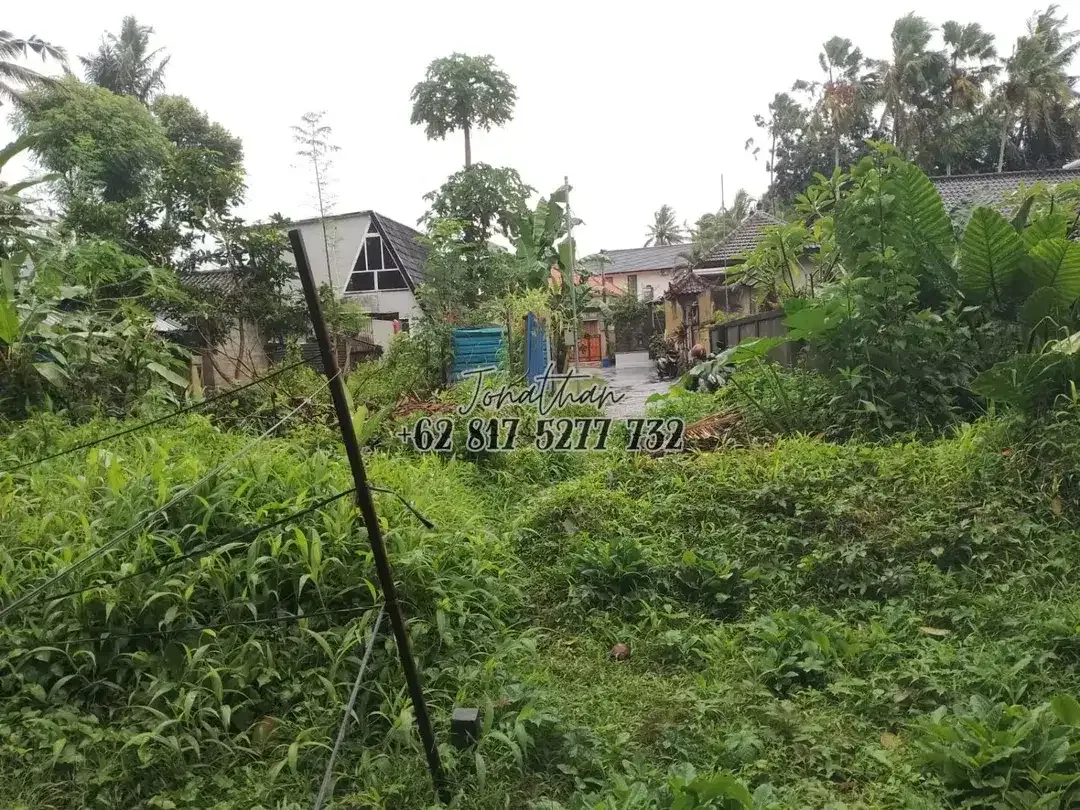 Tanah 300 m2 Zona Kuning Singakerta Ubud Siap Bangun - Image 6 of 6