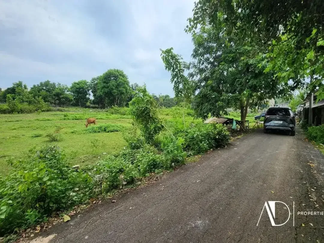 FREEHOLD | LAND IN TOURISM ZONE NEAR BALANGAN BEACH - Image 5 of 7
