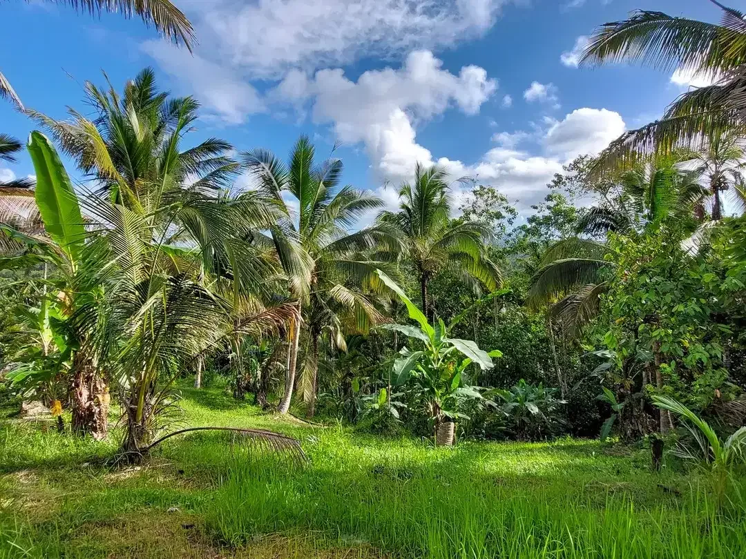 5.850 Sqm of Freehold Land for Sale with Beautiful Mountain View - Image 8 of 10