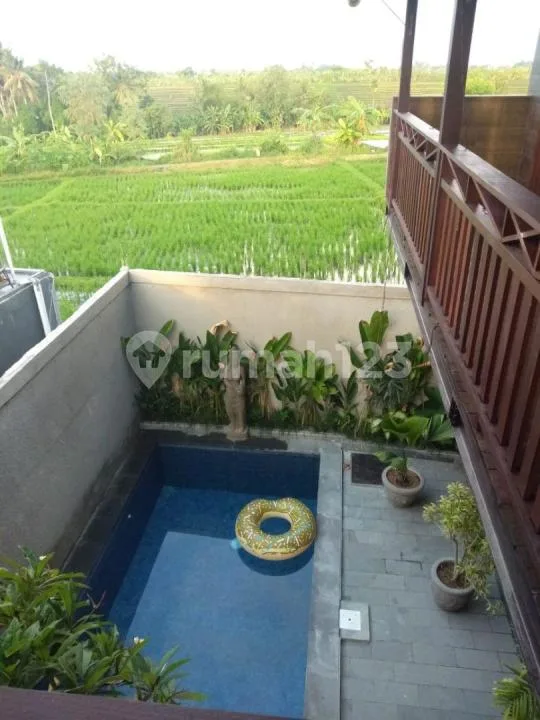 Villa For Rent In Seseh - 2 Bedroom - Private Pool - Prime Location Near Seseh Beach - Image 1 of 4