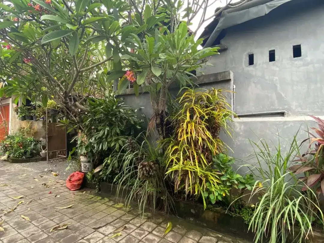 Rumah Dijual - Include dengan Toko dan 2 Kamar Kos - Image 8 of 10