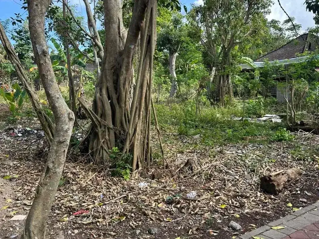 Tanah Strategis Lingkungan Villa Dekat Pantai Melasti Ungasan - Image 4 of 10