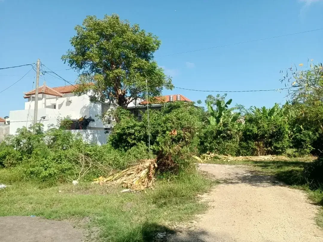 Tanah Murah 2,4 Are di Ungasan Jalan Bali Cliff Cocok Untuk Villa Hunian dan Investas - Image 2 of 3
