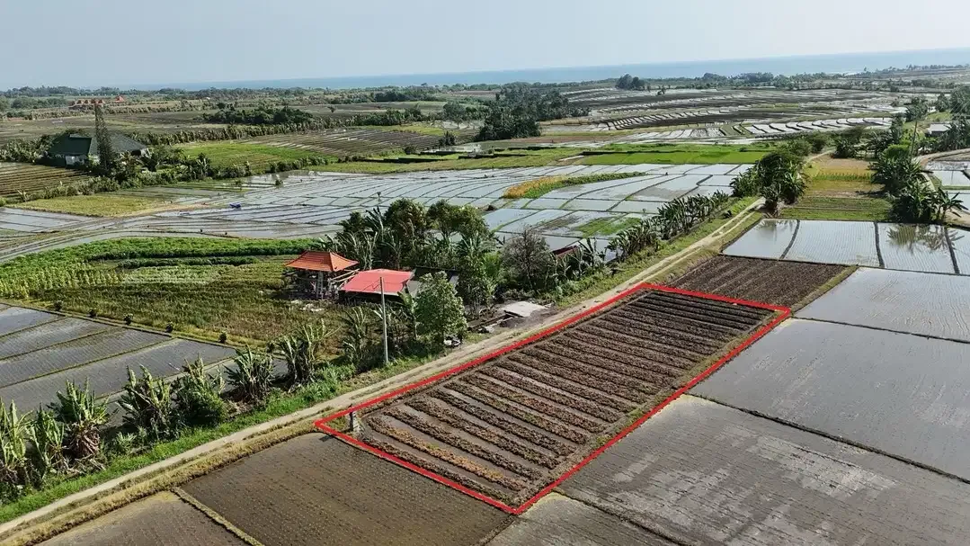Tanah 9 Are Di Tibubiu Kerambitan Tabanan Dekat Pantai Pasut Kelating - Image 2 of 10