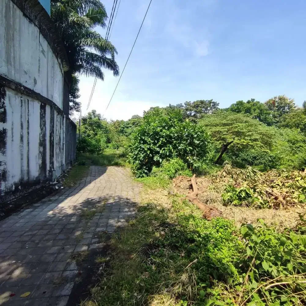 DIJUAL TANAH PINGGIR SUNGAI - LINGKUNGAN VILLA - Image 4 of 7