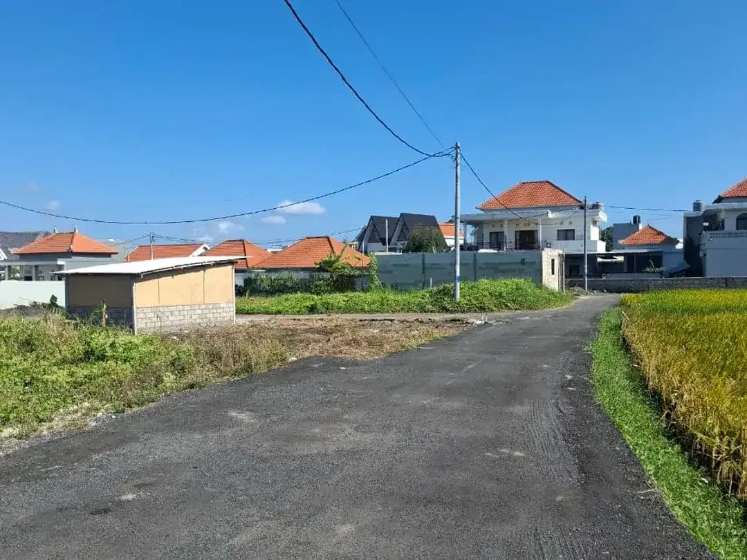 Land for Sale Near Seseh Beach, Mengwi – Suitable for Villa, Guest House & Investment - Image 4 of 5
