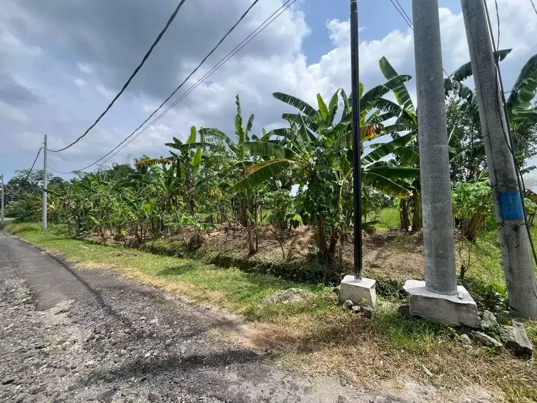 Dijual Tanah lingkungan tenang aman dan nyaman View Sawah dekat dengan kota Tabanan, sangat cocok untuk di bangun rumah,villa, maupun investasi. - Image 1 of 8