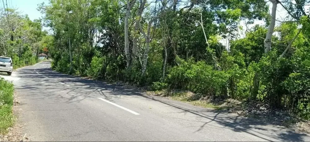 TANAH MURAH MERIAH JALAN UTAMA PANTAI MELASTI - Image 2 of 6