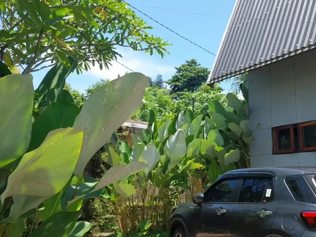 ID:H-98 Disewakan Rumah Semi Villa Abianbase Mengwi Bali Dekat Canggu Tabanan Tanah Lot Denpasar - Image 1 of 7