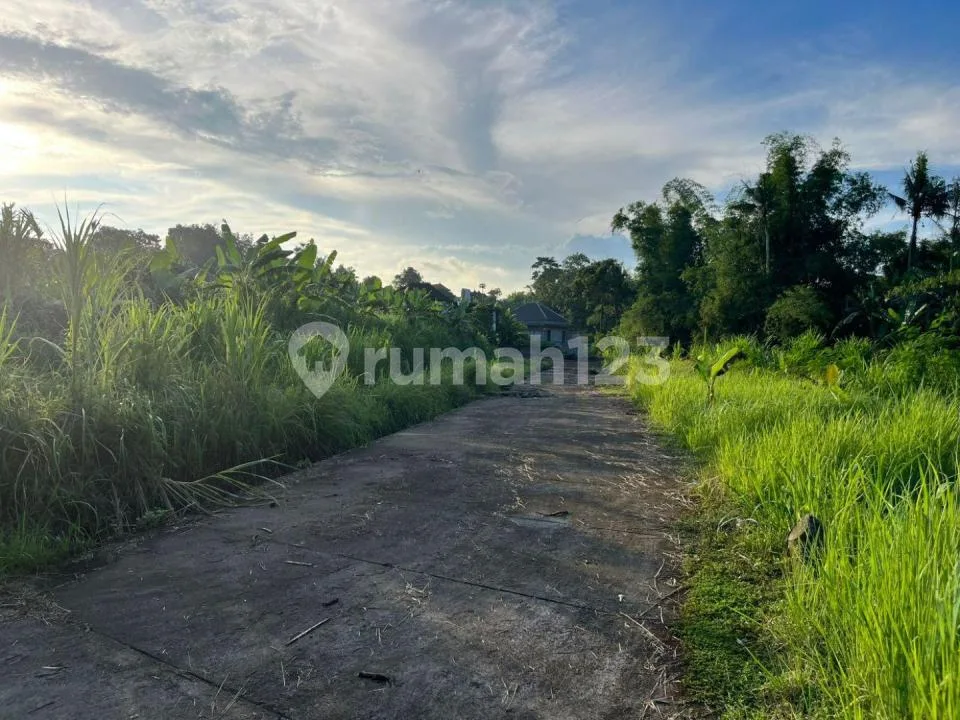 Bu! Tanah 2,4 Are Dijual Murah di Pandak Tabanan - Zona Kuning - Hanya Rp 900 Juta - Image 1 of 4