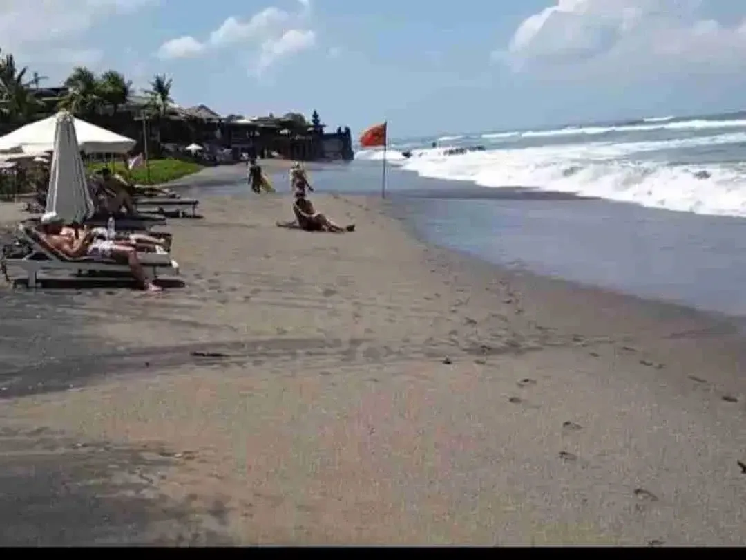DIJUAL TANAH MURAH LOS PANTAI BATU BOLONG  CANGGU BALI - Image 6 of 8