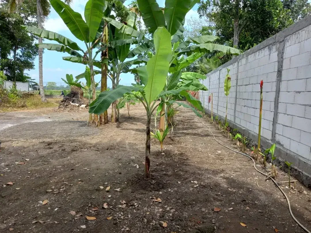 Dijual Tanah Raya Pengembungan - Image 7 of 8