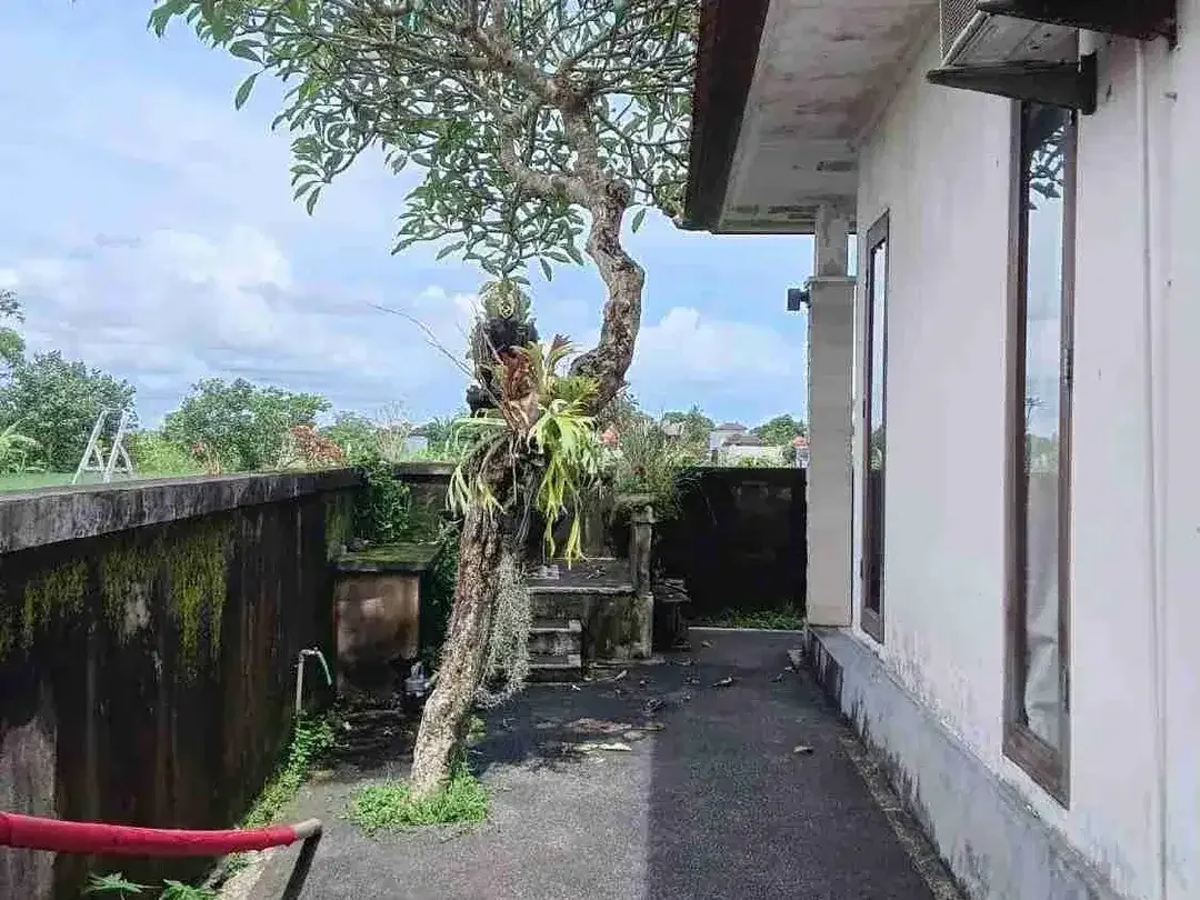 Rumah View Sawah Sukawati Gianyar Bali - Image 3 of 4