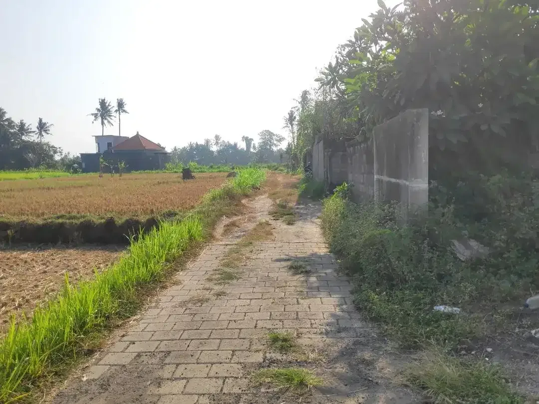 Dijual rumah di Saba, Gianyar. Semi Furnished - Image 8 of 10