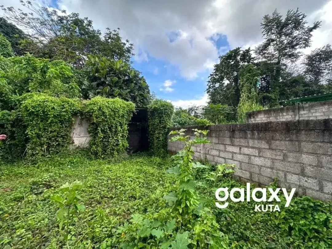 DIJUAL TANAH JUNGLE VIEW DEKAT RS SANJIWANI DI BITERA GIANYAR - Image 3 of 10